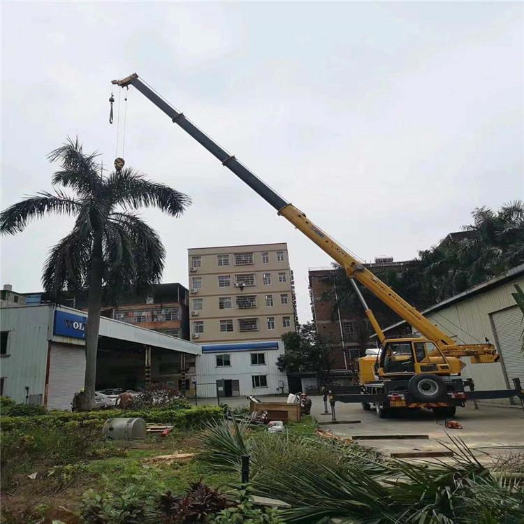 涪城汽车吊出租多少钱？全面解析与市场行情